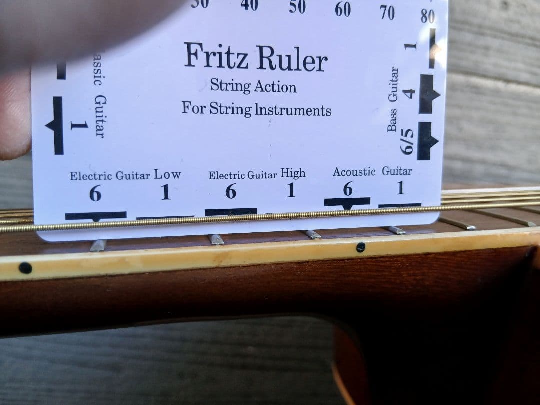 BLUERIDGE FOLK GUITAR Custom (セミHC付)