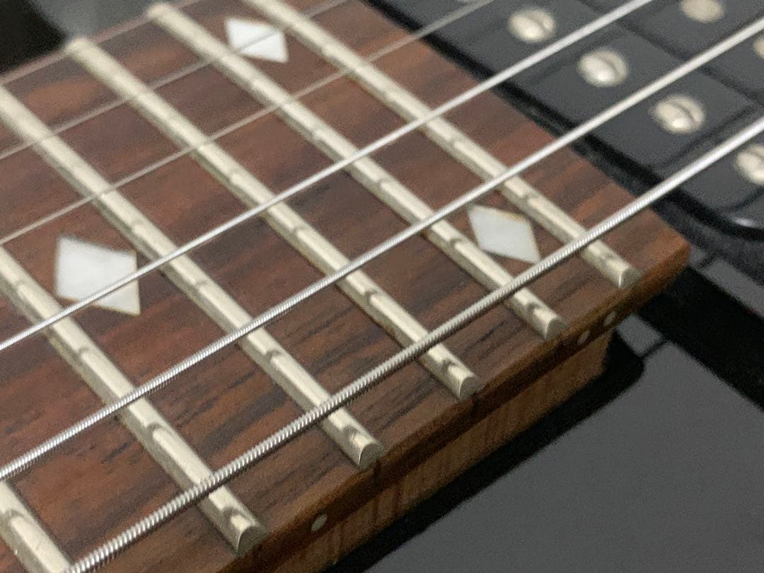 Chatting Bird Mockingbird モッキンバード hide