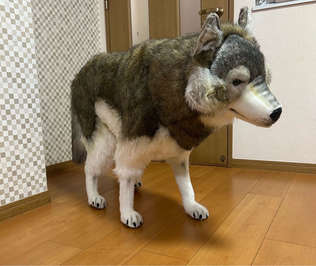 引取り限定 HANSA シンリンオオカミ リアル　ぬいぐるみ