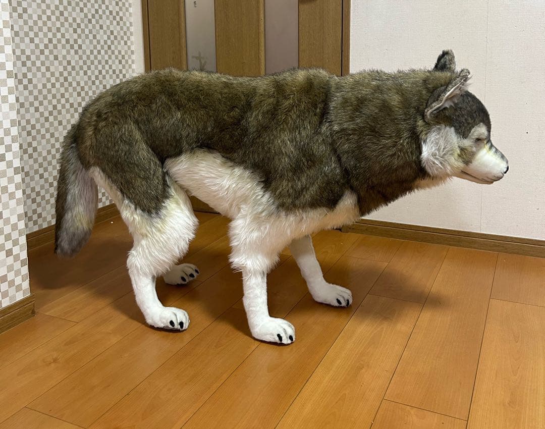 引取り限定 HANSA シンリンオオカミ リアル　ぬいぐるみ