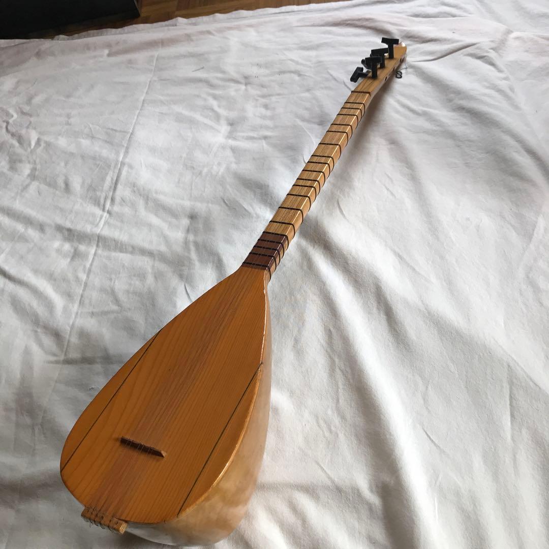 外国の撥弦楽器