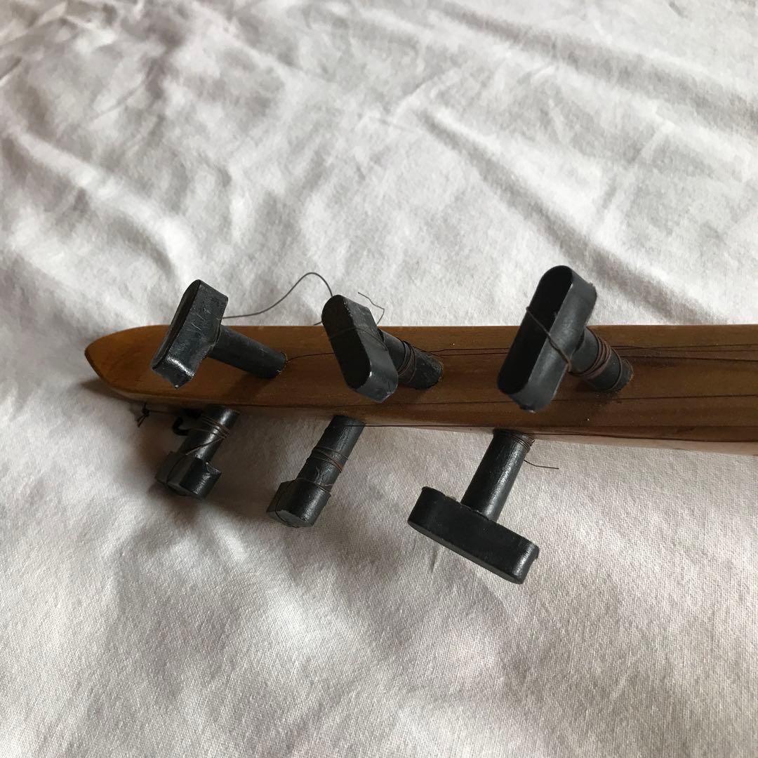 外国の撥弦楽器