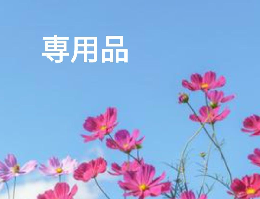 専用品