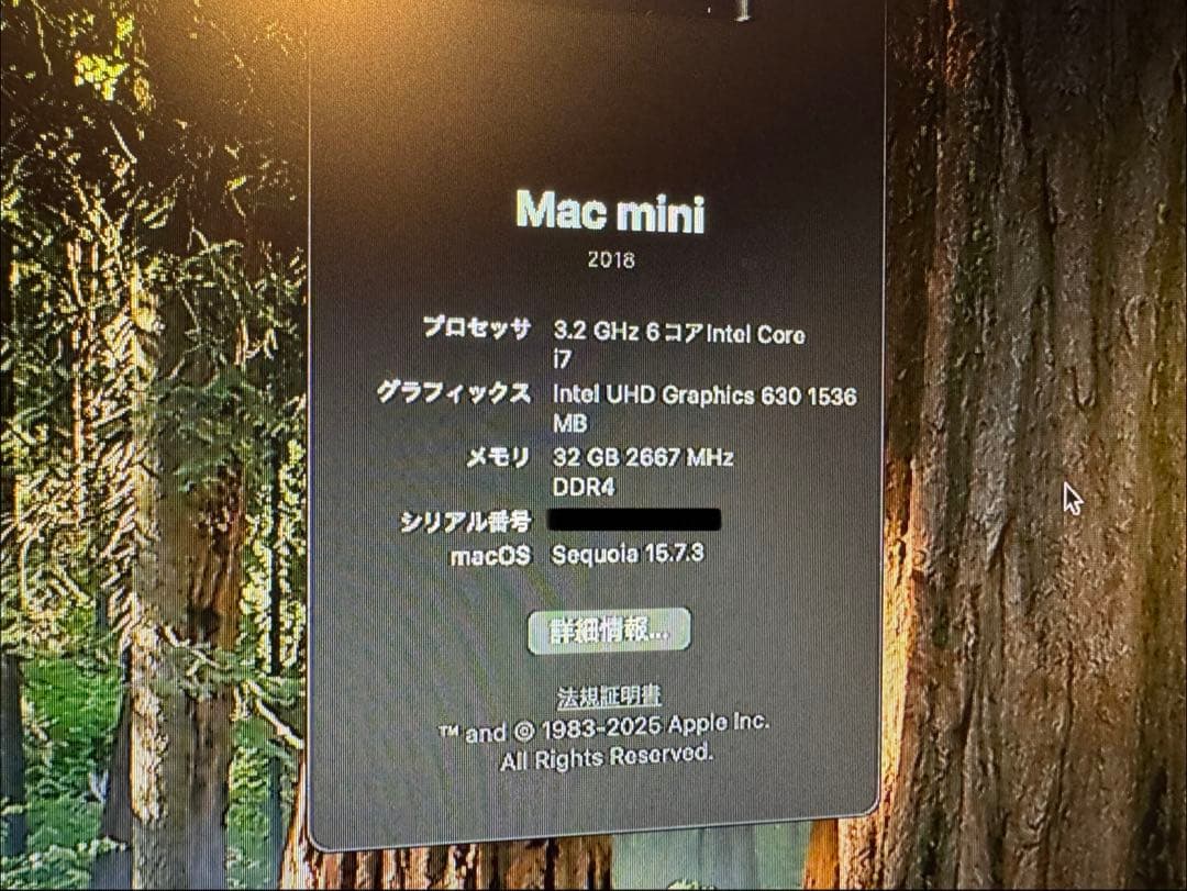 Macデスクトップ Apple Mac mini (2018) i7 32GB 256GB