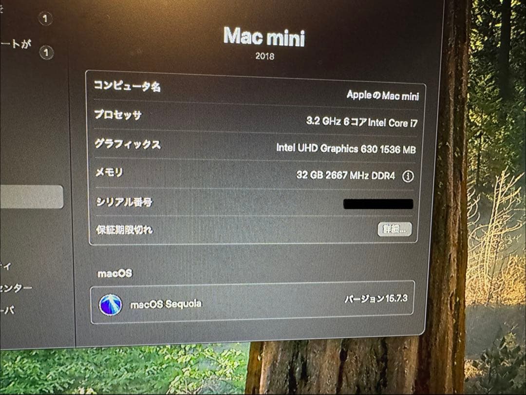 Macデスクトップ Apple Mac mini (2018) i7 32GB 256GB