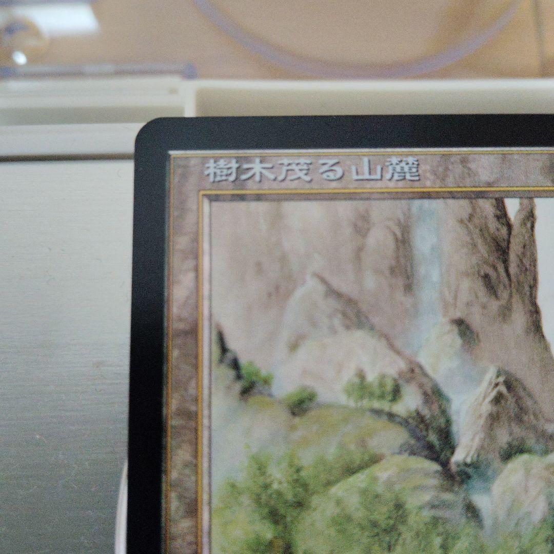 こ*ま様 樹木茂る山麓　日本語　初版　foil