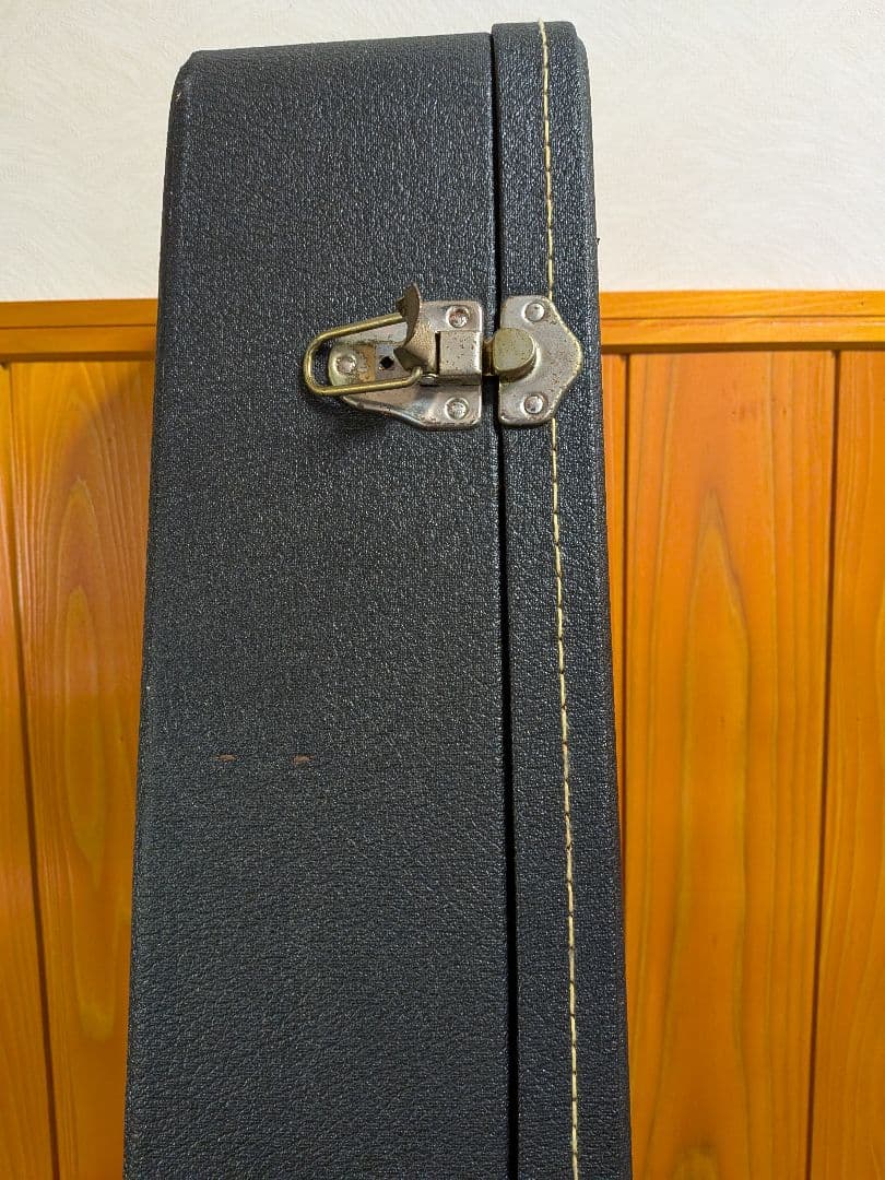 Larrivée アコースティックギター 6弦