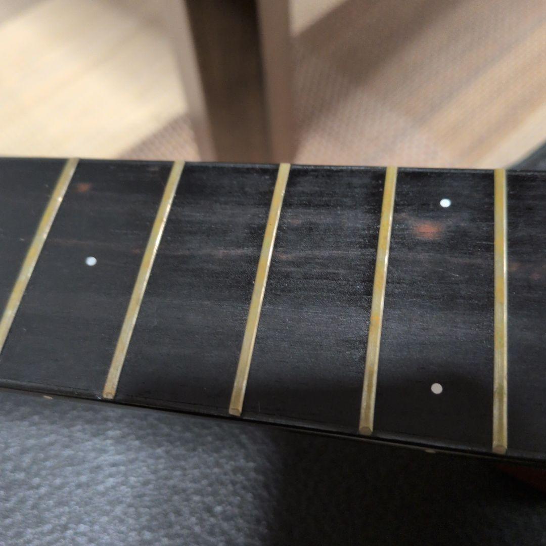 Larrivée アコースティックギター 6弦