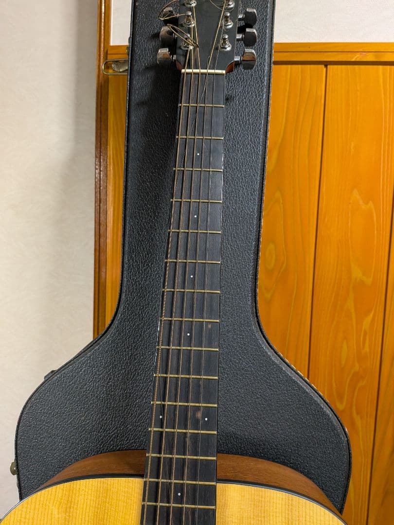 Larrivée アコースティックギター 6弦