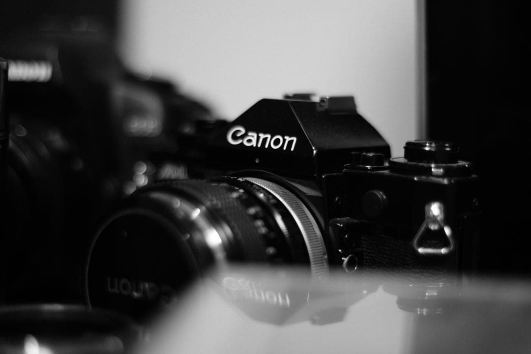 【美品】 キヤノン CANON EF 50mm F1.4 USM 作例あり