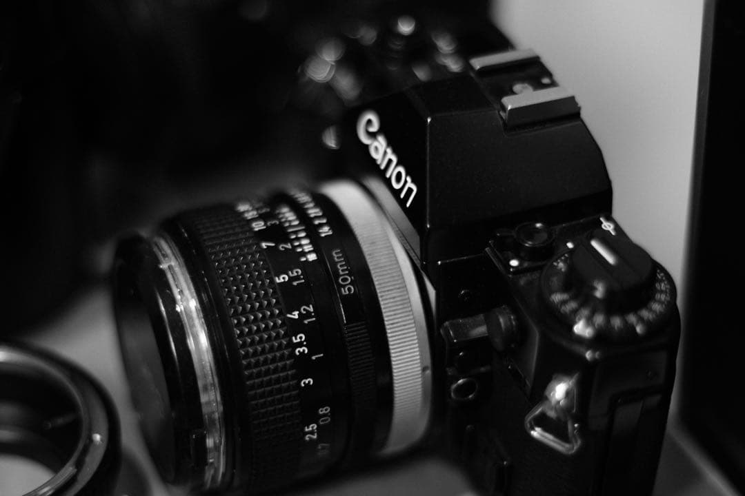 【美品】 キヤノン CANON EF 50mm F1.4 USM 作例あり