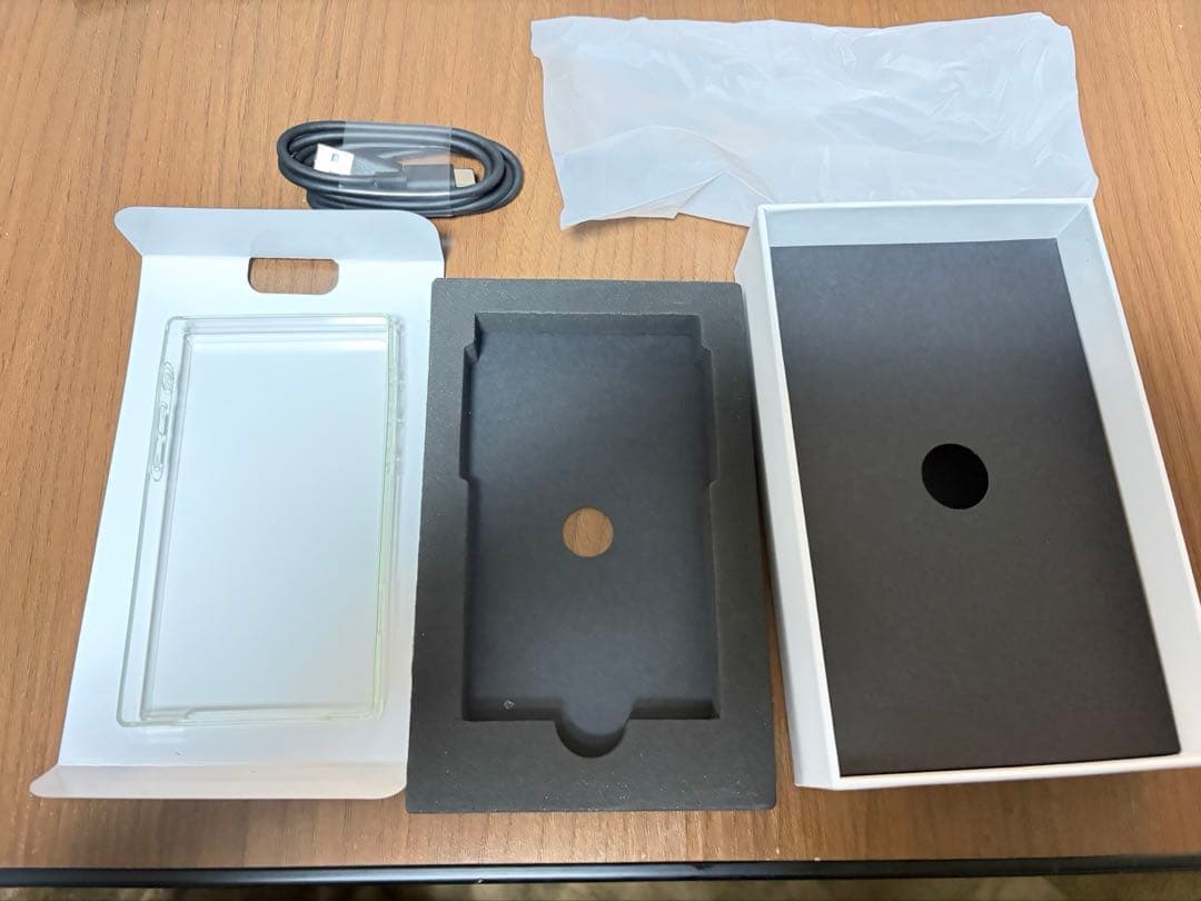 Fiio JM21 ブルー　純正ケース付き