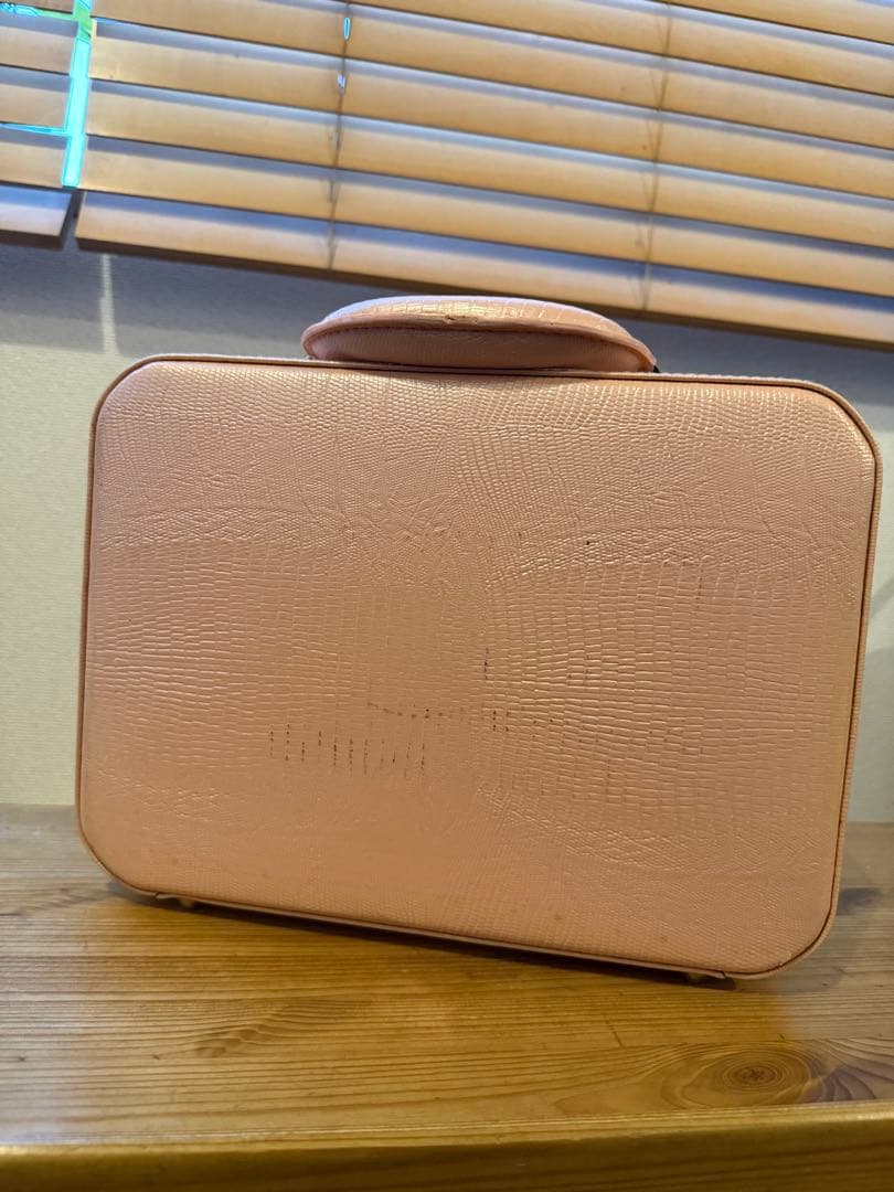 Reine sonic 超音波 イオン導入 レインソニック 美顔器