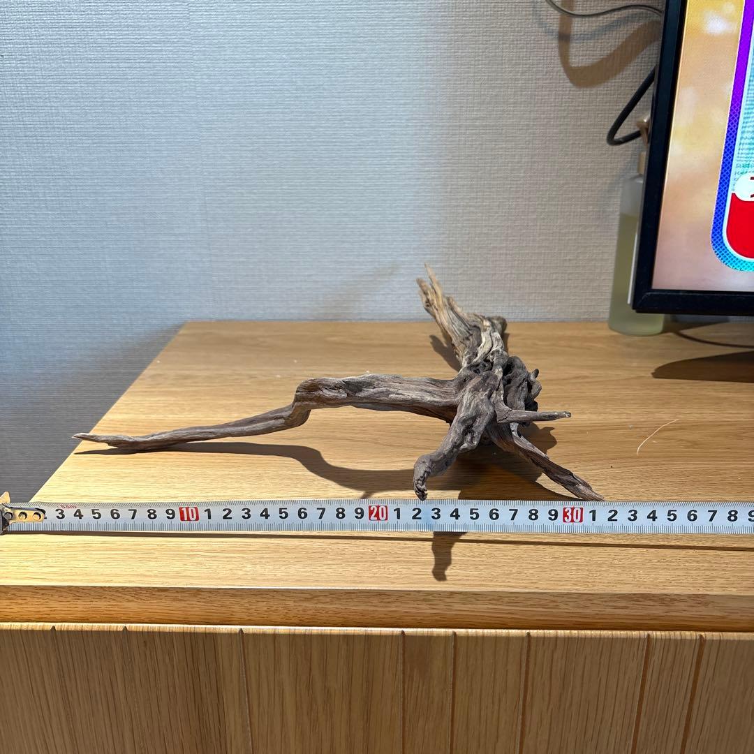 【早い者勝ち】 ADA流木 3本（まとめ買い500円引）