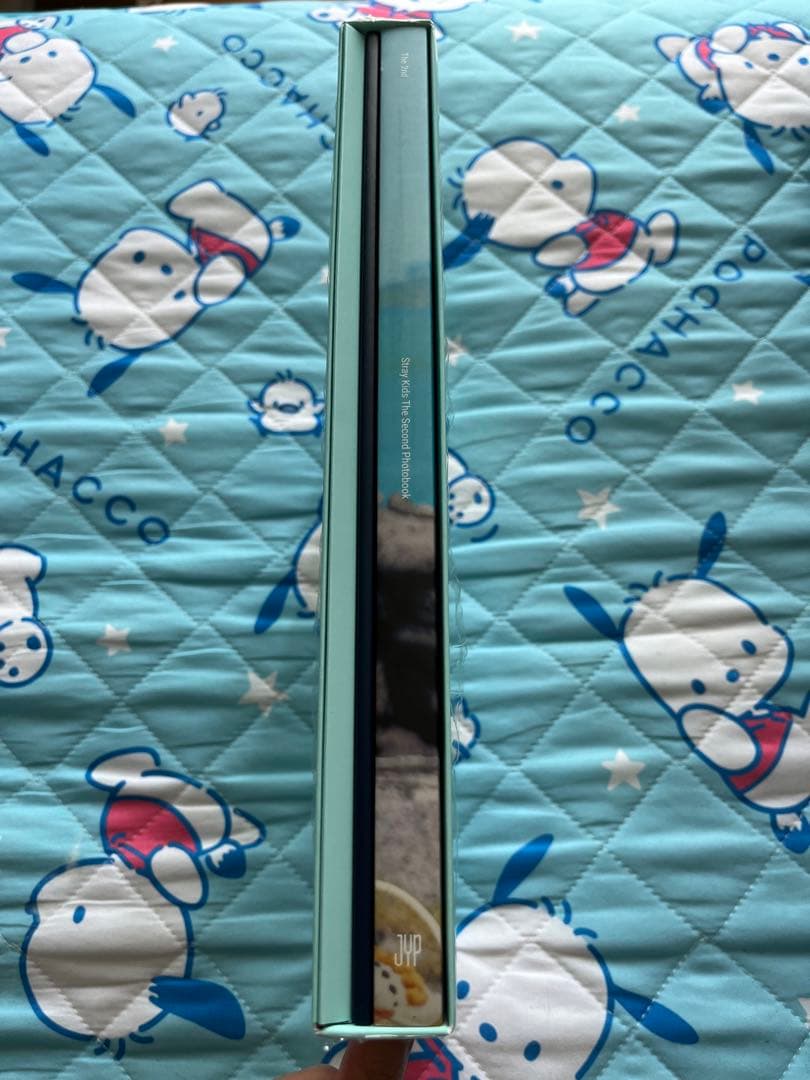 Stray Kids スキズ 'Stay in STAY' in JEJU