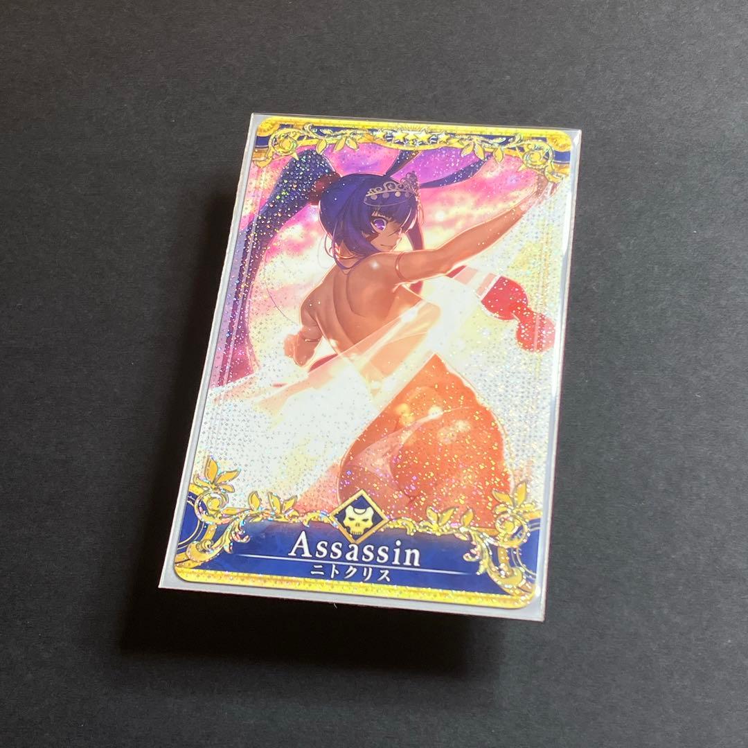 FGO ニトクリス (水着) (聖杯 レベル100) フェイタルfgoac