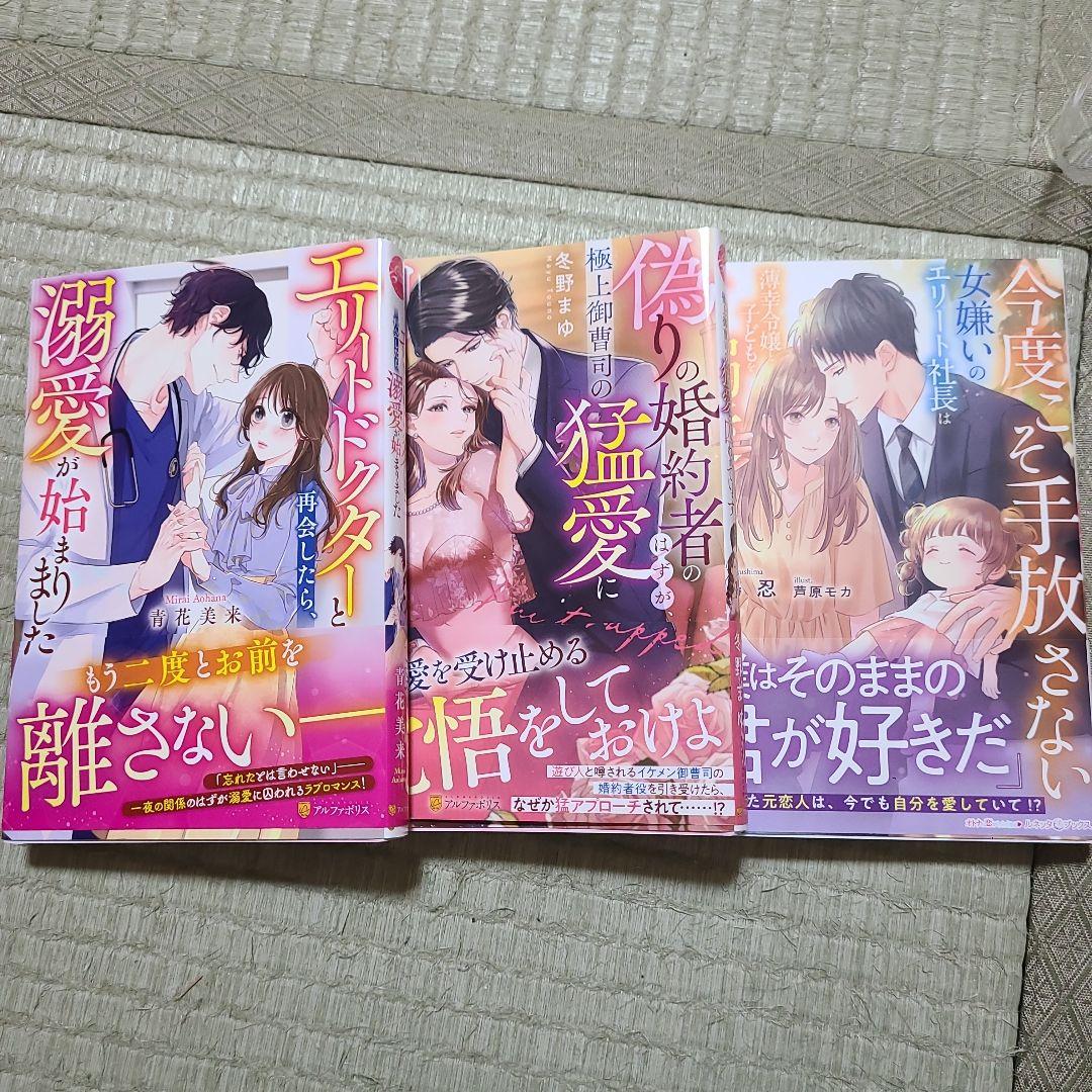 離縁を申し出たのは善意です ～白い結婚三年目、絶倫騎士団長な夫の重たい執愛に囚…