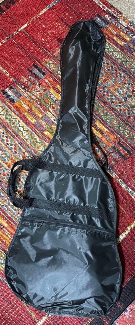 【SELDER ベースギター ケース&ピック付き】値下げ交渉⭕️