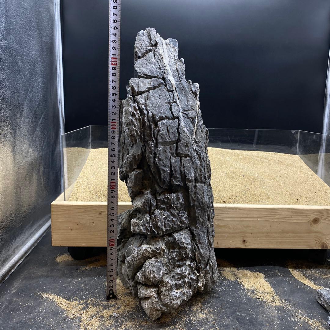 MSS-6612 セレクト品青龍石47cm親石　龍王石　竜王石