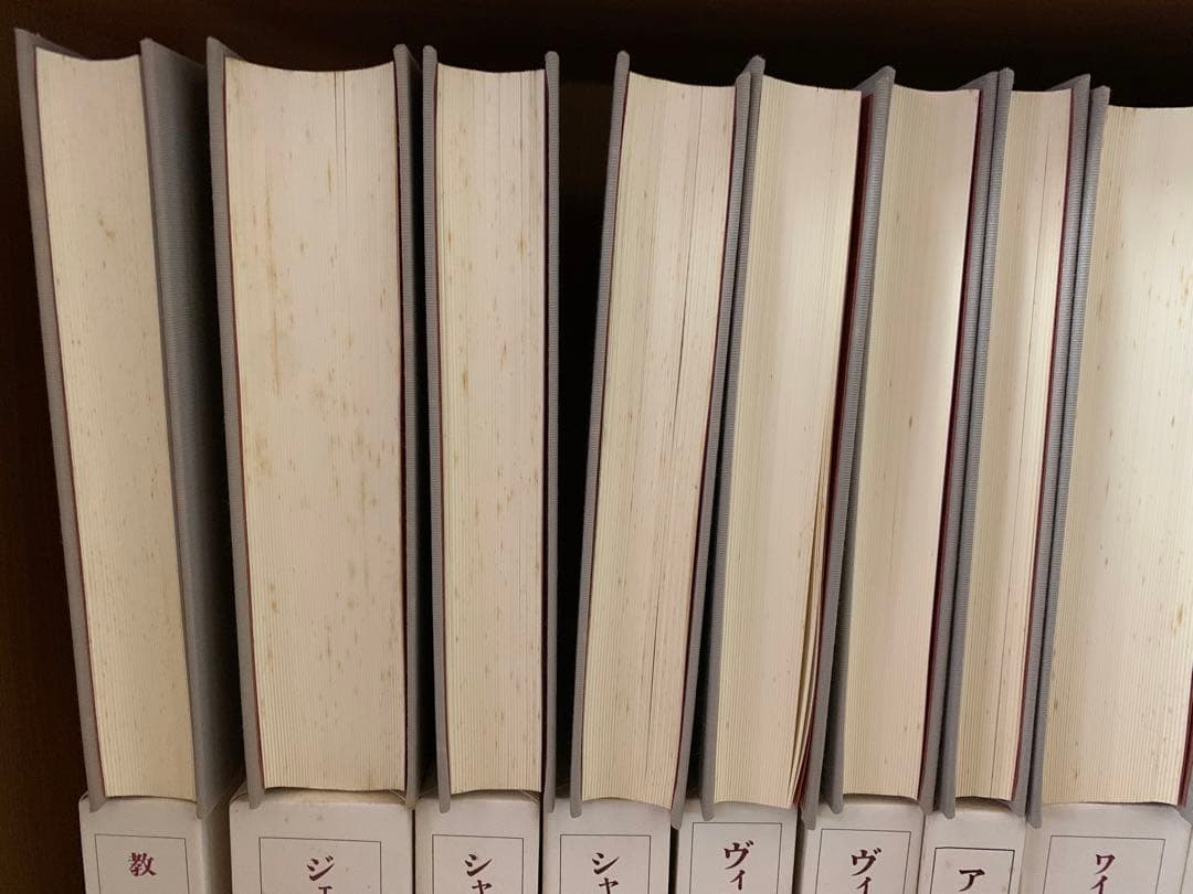 ブロンテ全集　全12巻(※第7巻除く) 11巻セット　岩波書店