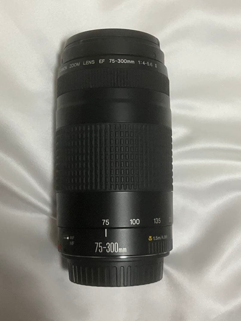 Canon EF 75-300mm F4-5.6 II キャノン 望遠レンズ