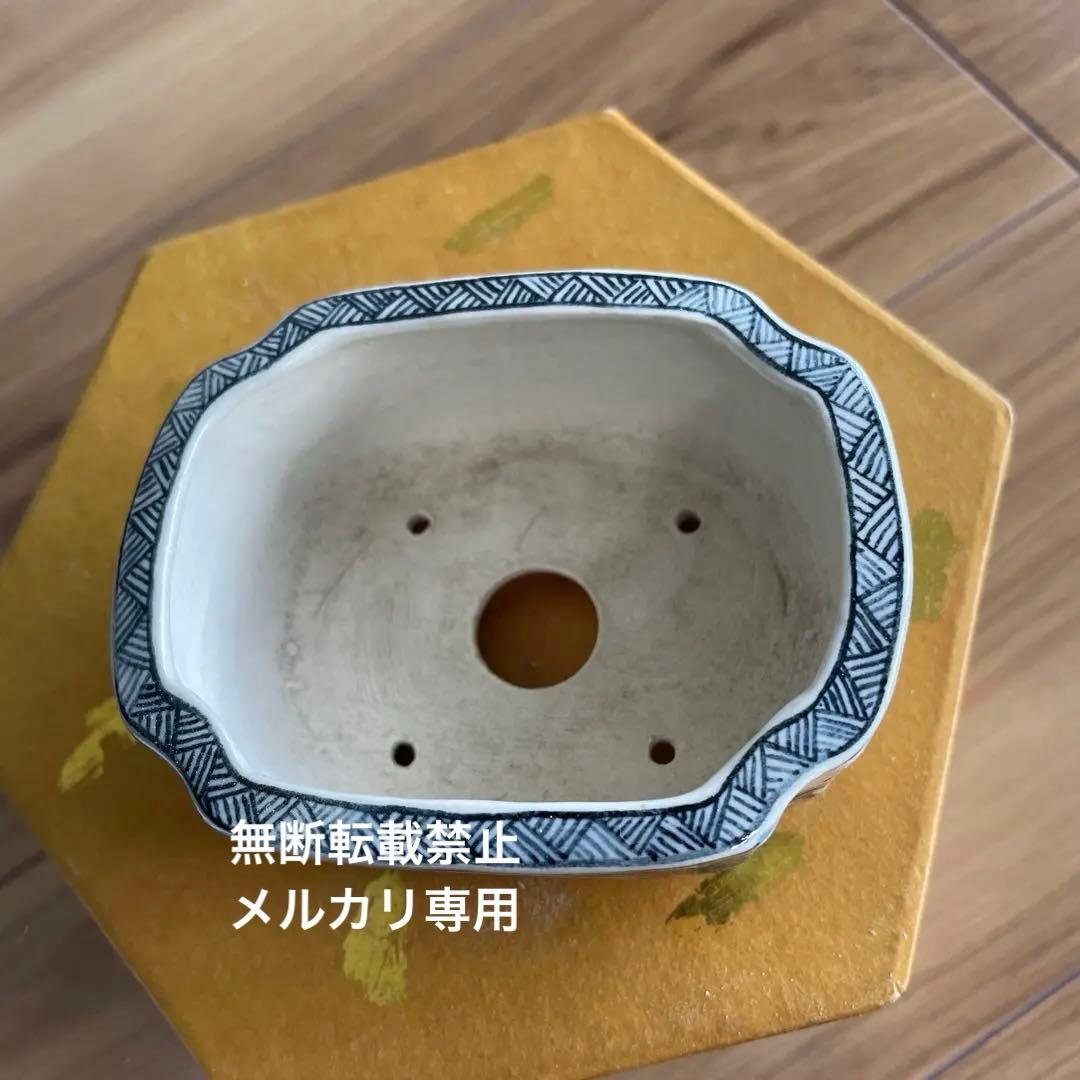 ミニ盆栽鉢　桑津香石　絵鉢　長方形　岩波　鳥　かもめ　小品盆栽