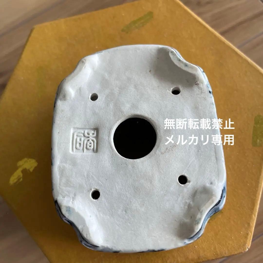 ミニ盆栽鉢　桑津香石　絵鉢　長方形　岩波　鳥　かもめ　小品盆栽