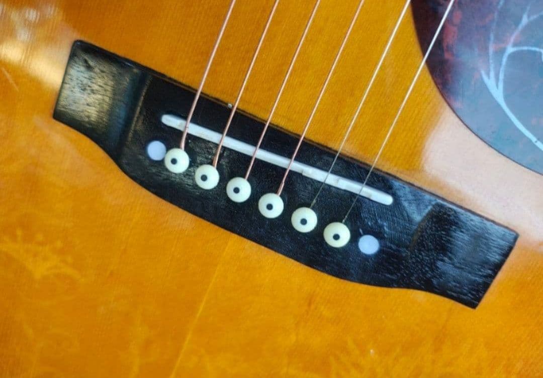 美品 Hummingbird PU付エレアコ G社シール２枚 USAストラップ