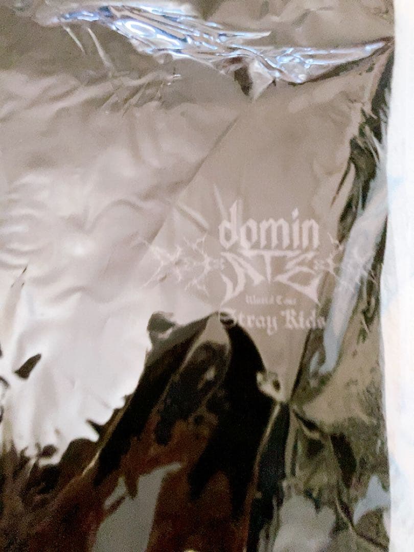 Stray Kids スキズ　dominATE 闇 ZOOフーディー