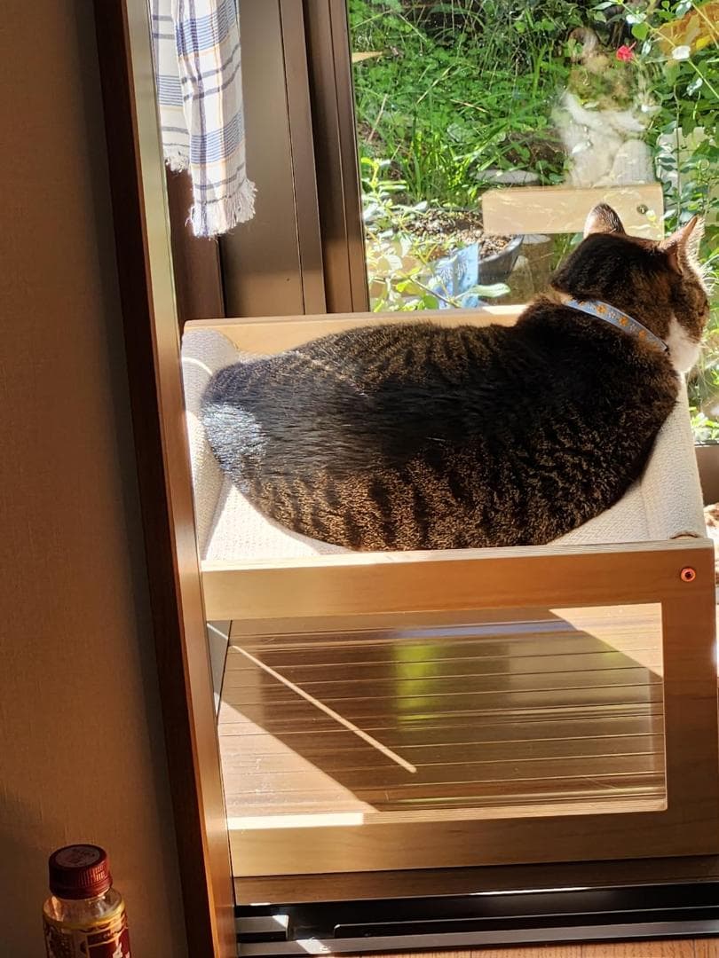 高品質なデザイン 快適 猫 ペット ハンモック