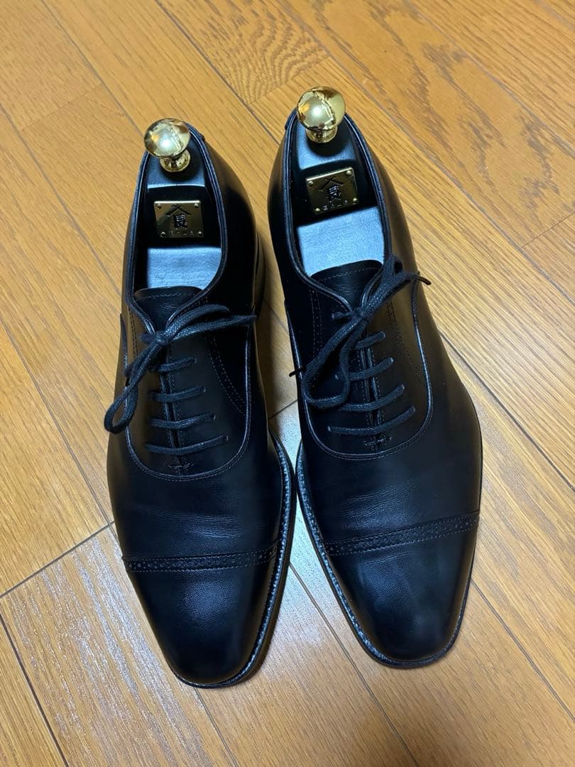 【ツリー込み】三陽山長　勇也　7.5 25.5