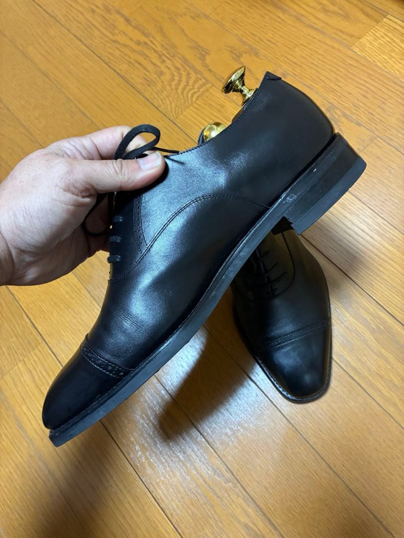 【ツリー込み】三陽山長　勇也　7.5 25.5