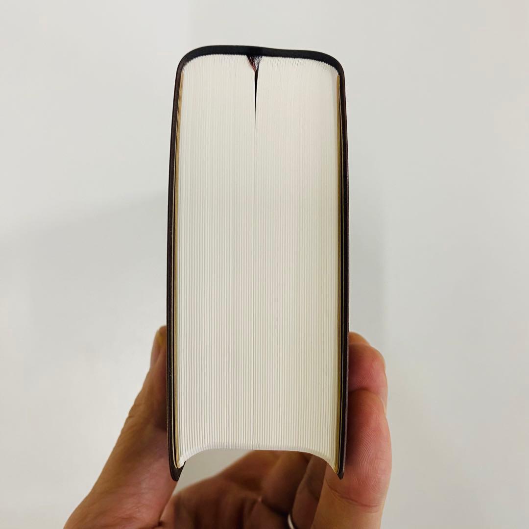 バイブルミニ　聖書 新改訳　第3版　日本語版 ブラウン