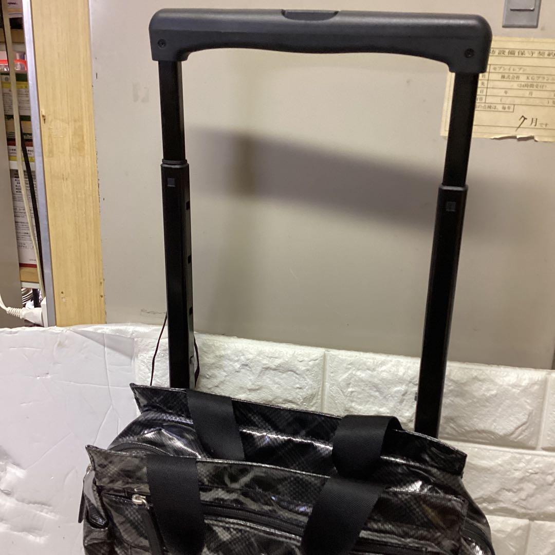 S4 SWANY　キャリーバッグ　Sサイズ　約12L