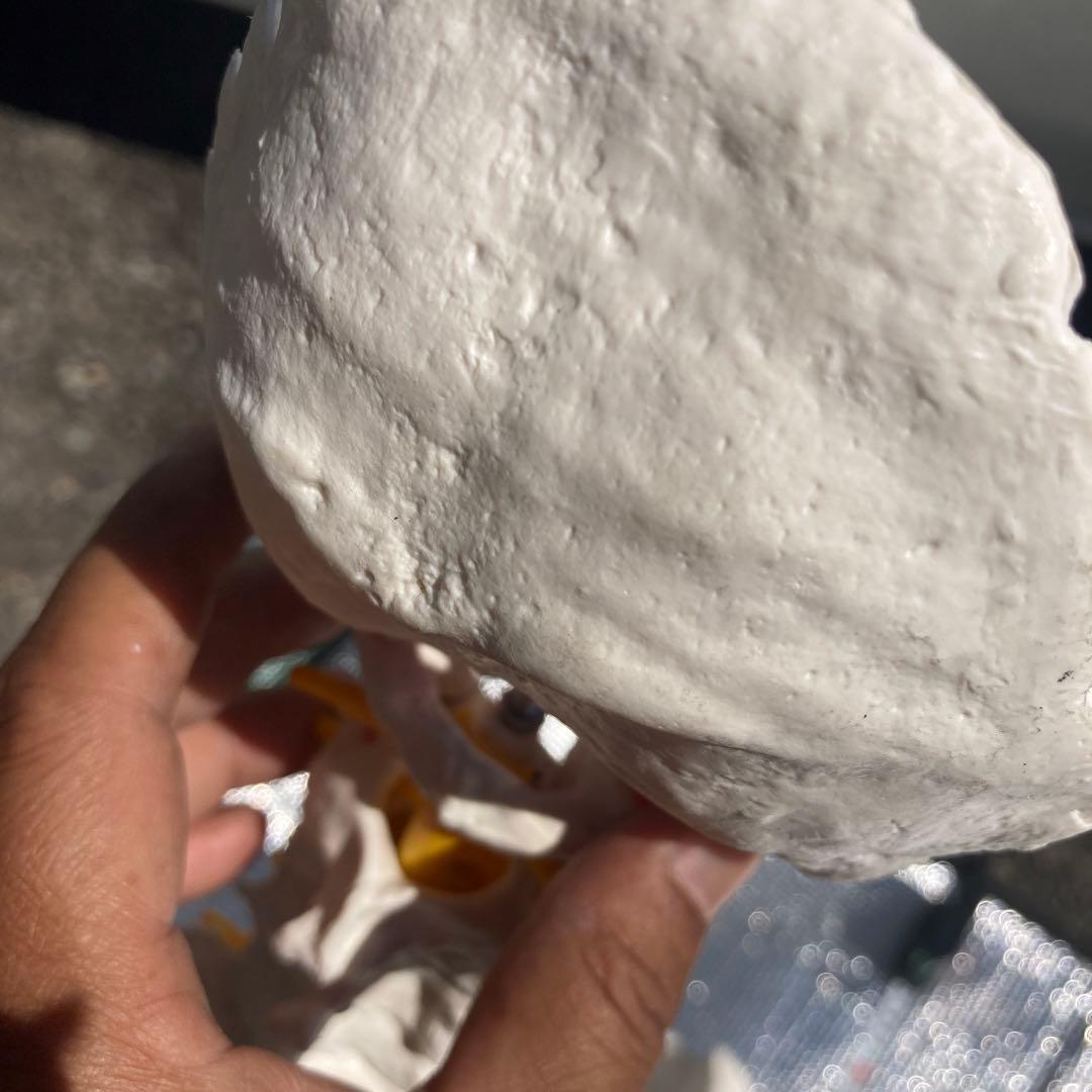 美品 脊柱(背骨)可動模型 スタンド付き　1