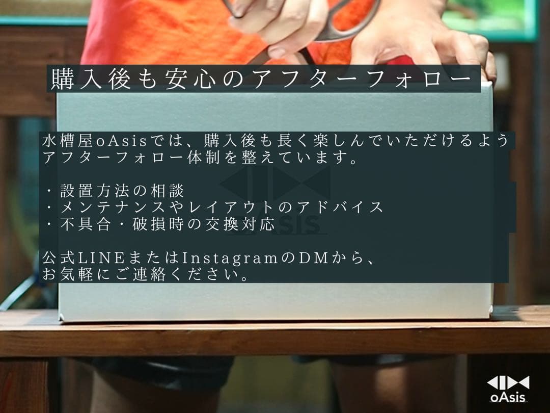 アクアリウム 流木 レイアウトセット 30cm 熱帯魚・水草水槽用