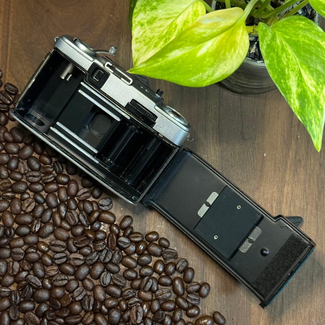 ✴️本日のみ初心者セット✴️牛革レザー✴️実写・分解整備済✴️オリンパスPEN EE-3