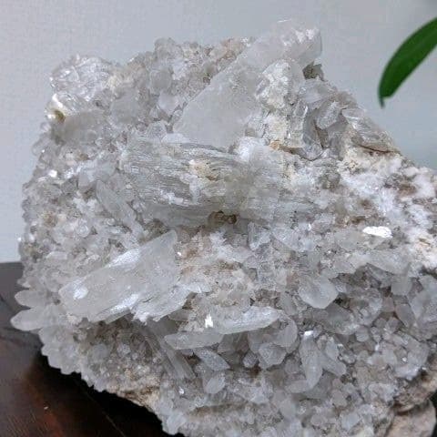 鉱物コレクション　セレナイト（透石膏）群晶