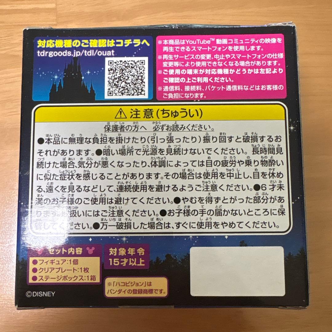 【終売品】ディズニーランド　Once Upon a Timeハコビジョン