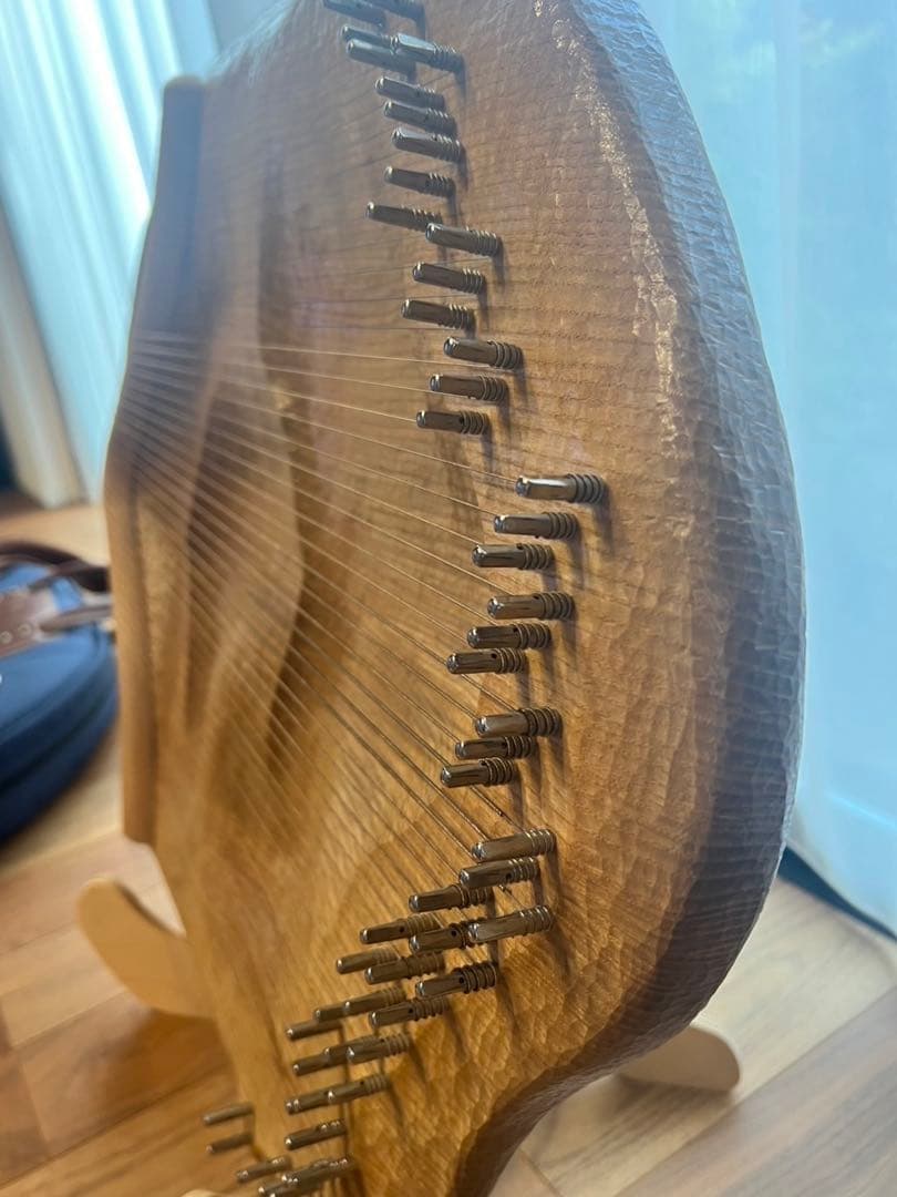 ソウルサウンドライアー63弦とケース