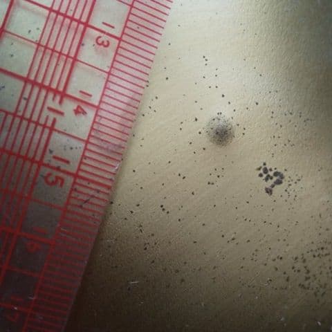 地球儀 ランドマクナリー