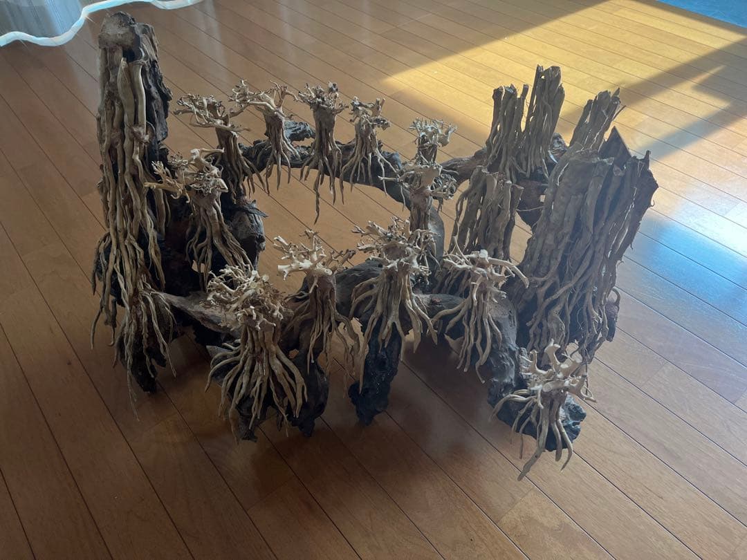 流木　空洞型バニヤン盆栽流木　水槽レイアウト【職人技】