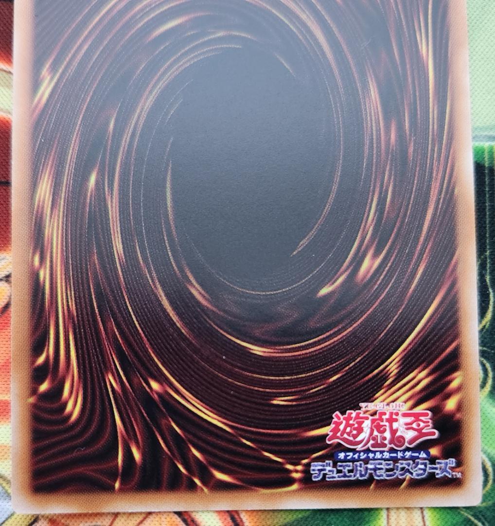 遊戯王 大輪の霊使い + 憑依共鳴