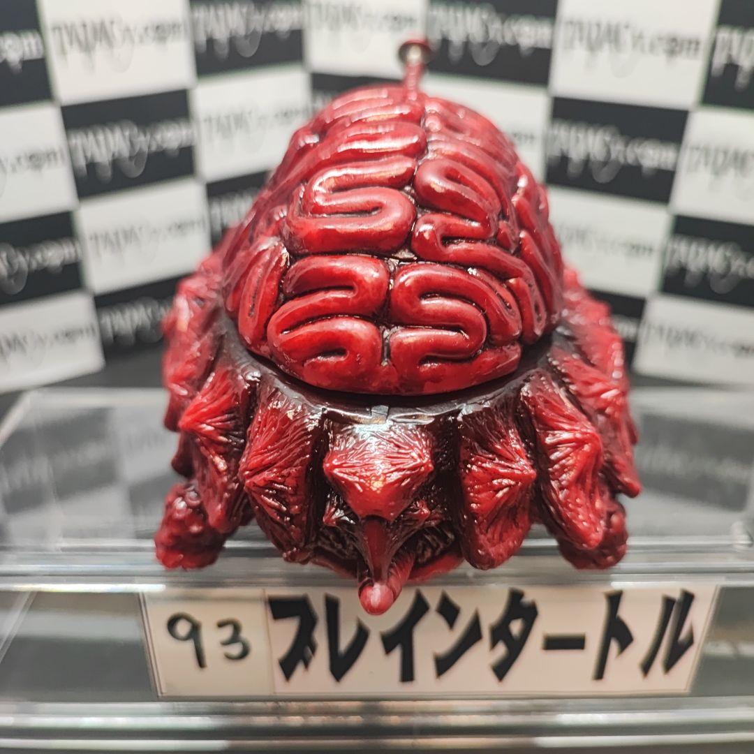 93ブレインタートル