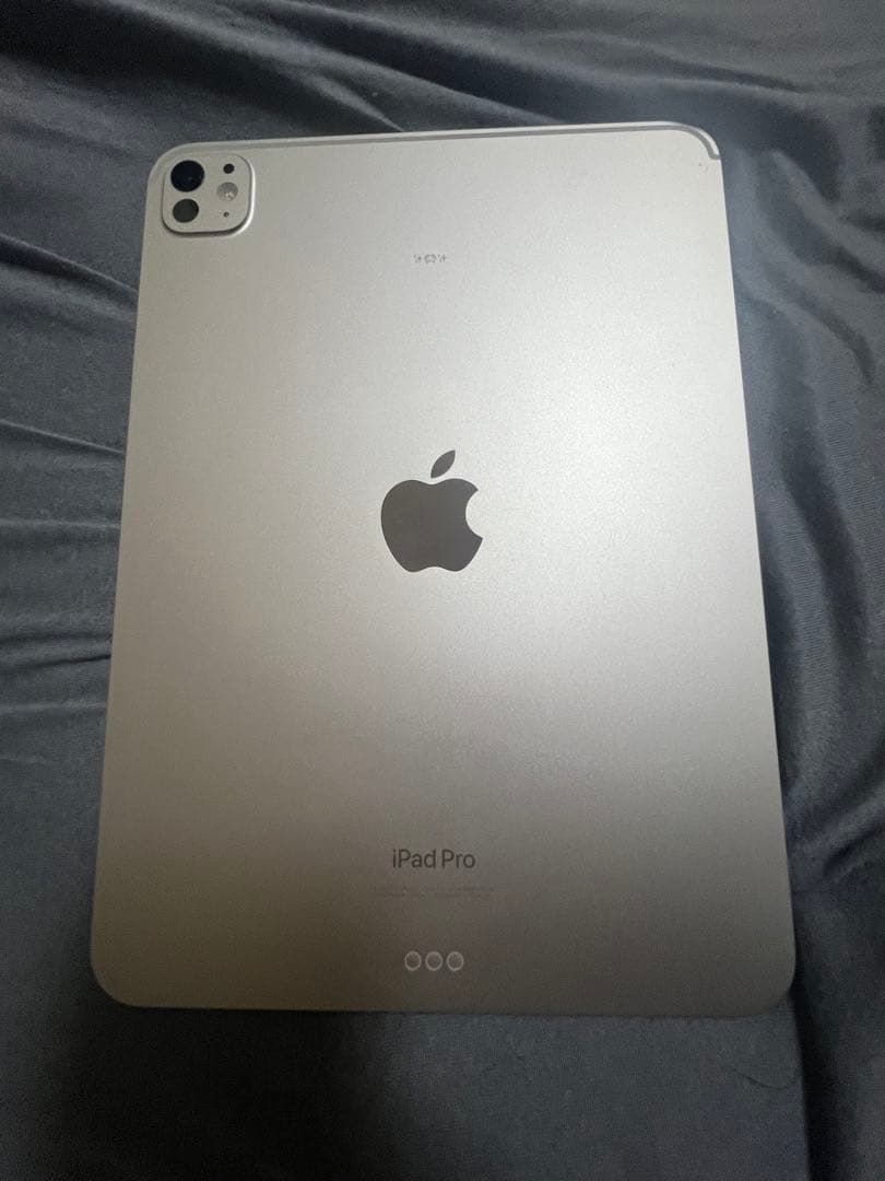 iPad Pro11 インチ 五世代 最新 M4 Wi-Fi 256GB