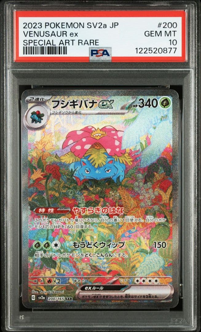【PSA10】 151 御三家SAR フシギバナ リザードン カメックス②