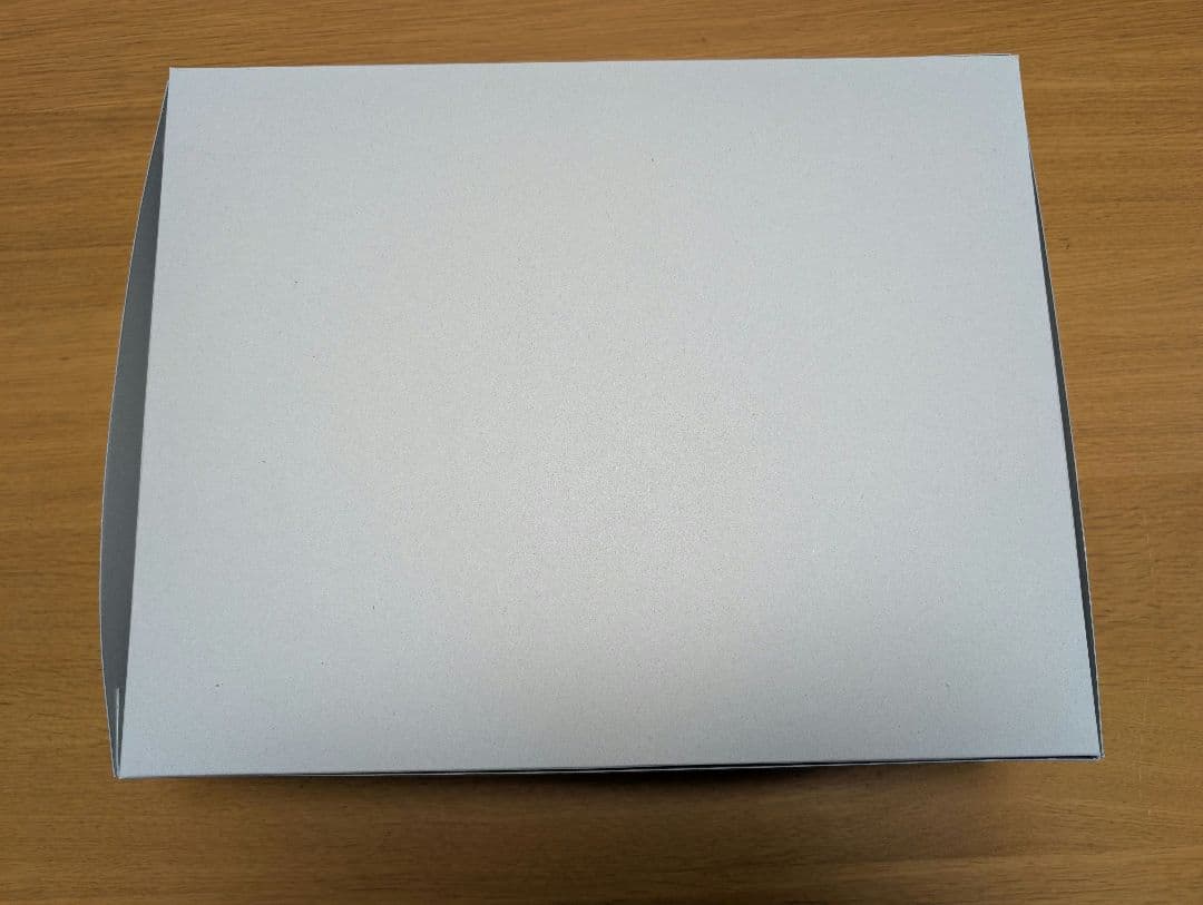 【新品未使用送料込】MGケンプファーシュヴェーア