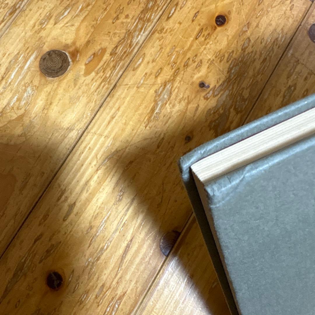 〈憩いのわが家〉亭遺聞 ドラゴンランス案内　マーガレット・ワイス