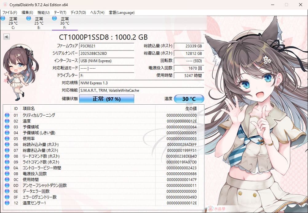 内蔵型SSD Crucial SSD 1TB CT1000P1SSD8 NVMe M.2