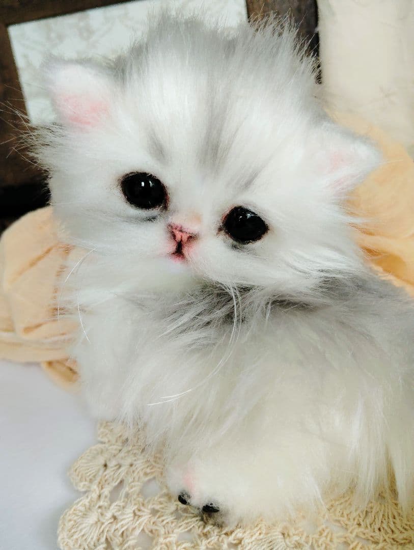 チンチラシルバー♡子猫のくるみちゃん♡アートドール♡ぬいぐるみ♡